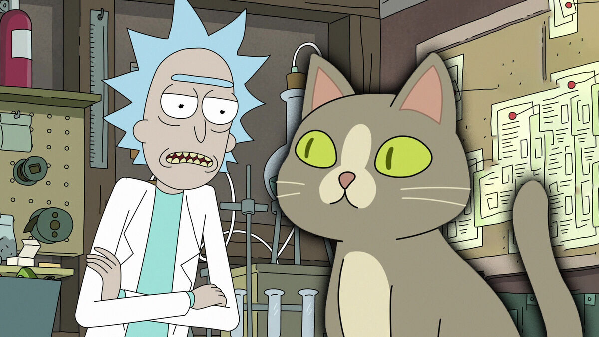 5 Wild Fan Theories Behind Rick and Morty's Talking Cat (Which One Is Actually True?)