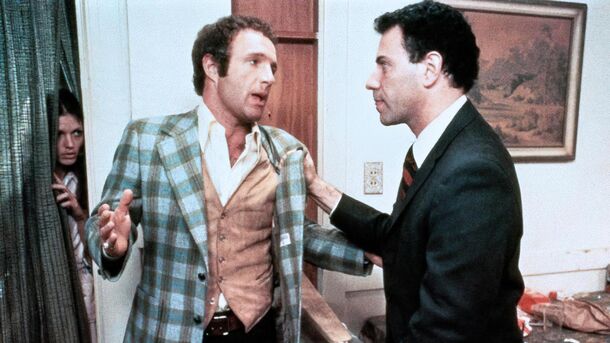 18 Buddy Cop Movies from the 70s That Deserve a Second Look - image 4