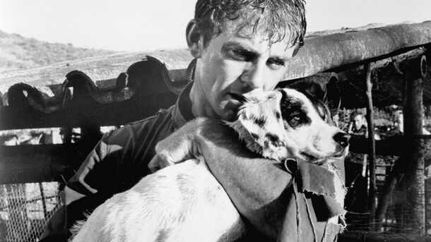 The Most Underrated War Dramas of the 1960s, Ranked - image 4